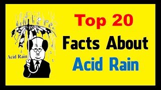 Acid Rain  Facts [upl. by Kenric]