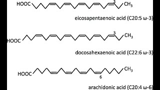 structures of Polyunsaturated Fatty acid Linoleic Alphalinolenic Eicosapentaenoic Docosahexaenoic [upl. by Amadas]