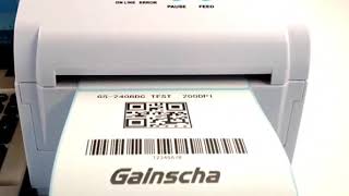 Gainscha GS2408D Label Printer [upl. by Aynatal348]