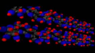 Organic Molecules Carbohydrates  Cell Biology  Biochemistry [upl. by Ialokin]