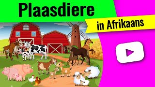 Plaasdiere ▶ Leer Plaasdiere name en geluide in Afrikaans [upl. by Ibbie]