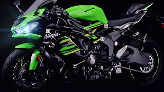 2019 Kawasaki Ninja ZX6R  Features [upl. by Shipley]