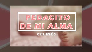 🔵 PEDACITO DE MI ALMA con Letra Celinés [upl. by Sheffield107]