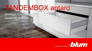 Blum TANDEMBOX antaro high fronted  Drawer Assembly Instructions [upl. by Endaira739]