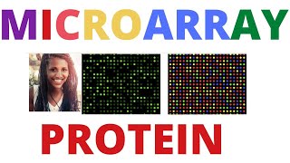 🪀🛑 Protein Microarray MICROARRAY DATA ANALYSIS [upl. by Talie]