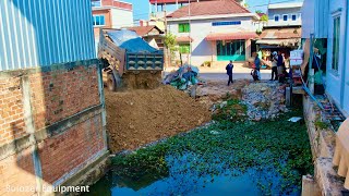 Amazing project New Project Land filling Delete Garbage In Flooded Area Use Dozer mini amp Truck 5T [upl. by Secunda]