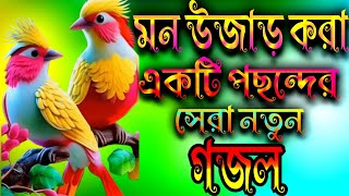 মন উজাড় করার একটি পছন্দের গজল [upl. by Ilka]