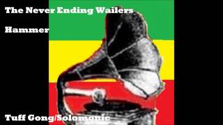 The Never Ending Wailers  Hammer [upl. by Nido]