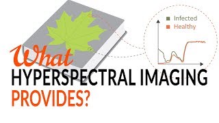 What Hyperspectral Imaging provides  Tutorial [upl. by Buroker]