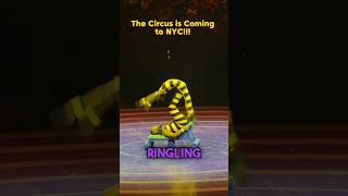 Ringling Bros at Barclays  NYC Circus [upl. by Keelia235]