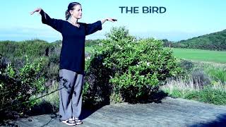 REVIEW  Tai Chi 5 minutes a Day  Module 4 long version with extra silent practice [upl. by Nairdad]