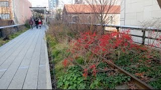 High Line Park New York City [upl. by Aneerahs]