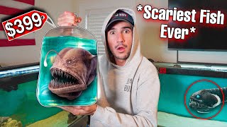 UNBOXING THE SCARIEST ANGLER FISH IVE EVER OWNED [upl. by Ayrb]