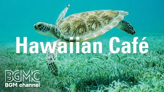 Hawaiian Cafe Caribbean Tropical Island Music  Music for Happy Holiday in a Beach [upl. by Ecinrahs]