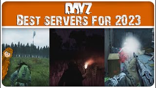 The BEST PC Servers On DayZ [upl. by Harley14]