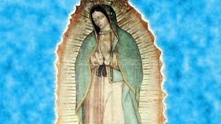 Melodia Celestial para orar descubierta en el manto de la Virgen de Guadalupe [upl. by Lleznol]