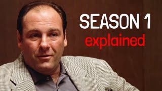 THE SOPRANOS Season 1 Explained  Recap amp Breakdown [upl. by Hyrup701]