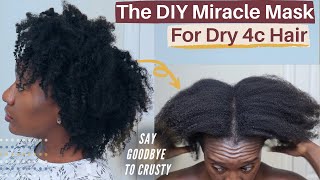 DIY MIRACLE MASK FOR DAMAGED 4C HAIR  A Protein Treatment for Natural Hair no eggs no mayo [upl. by Chatterjee]