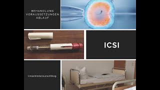 ICSI  Kinderwunschbehandlung  Behandlungsablauf  Stimulation  unserkinderwunschblog [upl. by Ela28]