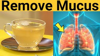 7 Causes of Increased Mucus in Your Lungs Clearing Congestion [upl. by Anival]