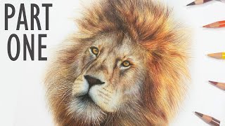 Learn How to Draw a Lion Easy Step By Step  How to Make a Lion Drawing Easy  Drawing With Letters [upl. by Icam]