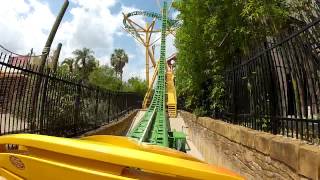 Nova montanha russa  Busch Gardens  Cheetah Hunt  Lama Racing  buschgardens cheetah tampa [upl. by Latsyrhk838]