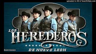 LOS HEREDEROS DE NUEVO LEON MIX  EXITOS NORTEÑOS [upl. by Neelyak862]