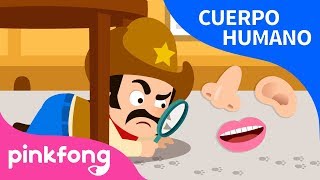 Cinco Sentidos  Cuerpo Humano  Pinkfong Canciones Infantiles [upl. by Imoan366]