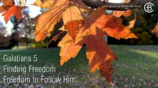 November 17 2024  10 AM  Finding Freedom Freedom to Follow Him [upl. by Bartholemy]