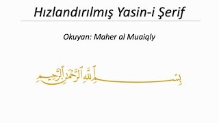 Hızlandırılmış Yasini Şerif 7 dk Kabe imamı Maher el Muaiqly [upl. by Ahsital]