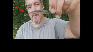 Unbelievable Ned Baits Unconventional Fishing Tricks [upl. by Cogswell259]