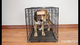 Midwest iCrate Folding Metal Dog Crate Review 2018 [upl. by Kyrstin]