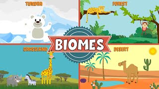 Biomes of the World  Types of Biomes  Video for Kids [upl. by Mashe647]