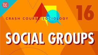 Social Groups Crash Course Sociology 16 [upl. by Nagah427]