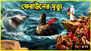 ফেরাউনের শেষ পরিণতি  মুসা নবী ও ফেরাউনের কাহিনী  musa nobi o feraun er kahini  Nurer Desh tv [upl. by Lavoie455]