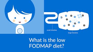 FODMAP Foods What are They Problems Why Low Carb Helps [upl. by Rednael]