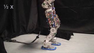 Compliant humanoid robot COMAN learns to walk efficiently [upl. by Ennaharas]