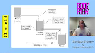 Chemostat [upl. by Georgeanna]