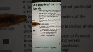 Perineal Pouches  Pelvic perineum Anatomy [upl. by Dyoll644]