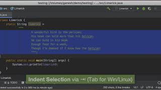 IntelliJ IDEA Tips amp Tricks 12 Indent or Unindent Lines  Selection Easily [upl. by Innavoj]