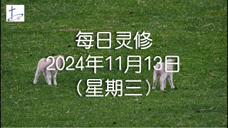 每日灵修2024年11月13日（星期三）路得记2章1至3节 English translation in description box [upl. by Ynohtnaluap]