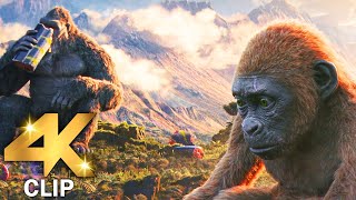 Kong Eats Breakfast With Suko Scene  GODZILLA X KONG THE NEW EMPIRE 2024 Movie CLIP 4K [upl. by Ellyn]