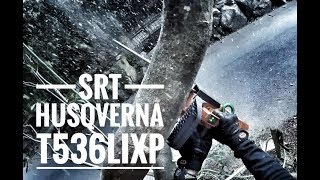 SRT  Tree Climbing  Bulldog Bone  Husqverna T536LiXP  Arborist  GoPro [upl. by Leandro]