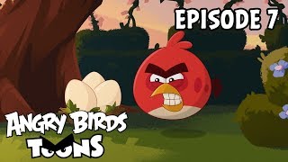 Angry Birds Toons  Just So  S2 Ep7 [upl. by Eeralih]