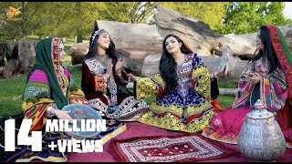 Alia Ansari  Melma  Pashto New Song 2022  Official Video [upl. by Llert]