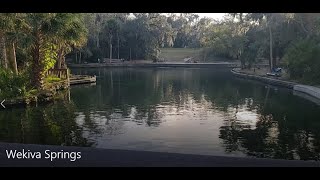 Wekiwa Springs State Park full campground review and tour with every campsite recorded [upl. by Joshuah]