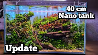 40 cm nano tank  aquarium update  new filter Oase filtosmart 100 [upl. by Medeah143]