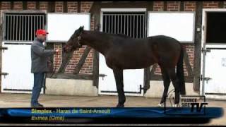 Haras de Saint Arnoult  Route des Etalons 2011 [upl. by Ekenna]