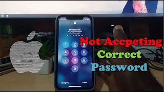 iPhone Not Accepting Correct Passcode Fix [upl. by Newlin]