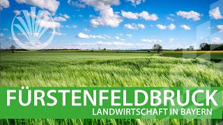 Landwirtschaft in Bayern Landkreis Fürstenfeldbruck in Oberbayern [upl. by Joletta]